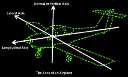 Longitudinal Axis