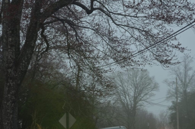 Fatal Accident (1) - Robinson R44 Raven, N331ES, near Danville, VA, March 15, 2025
