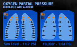 Oxygen Partial Pressure