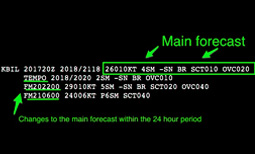 Terminal Area Forecast (TAF)
