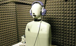 White Noise