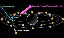 X-Ray Fluorescence (XRF)