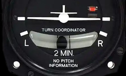 Yaw Rate Indicator